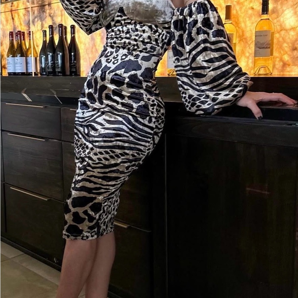 Chic Long Sleeve Animal Print Dress